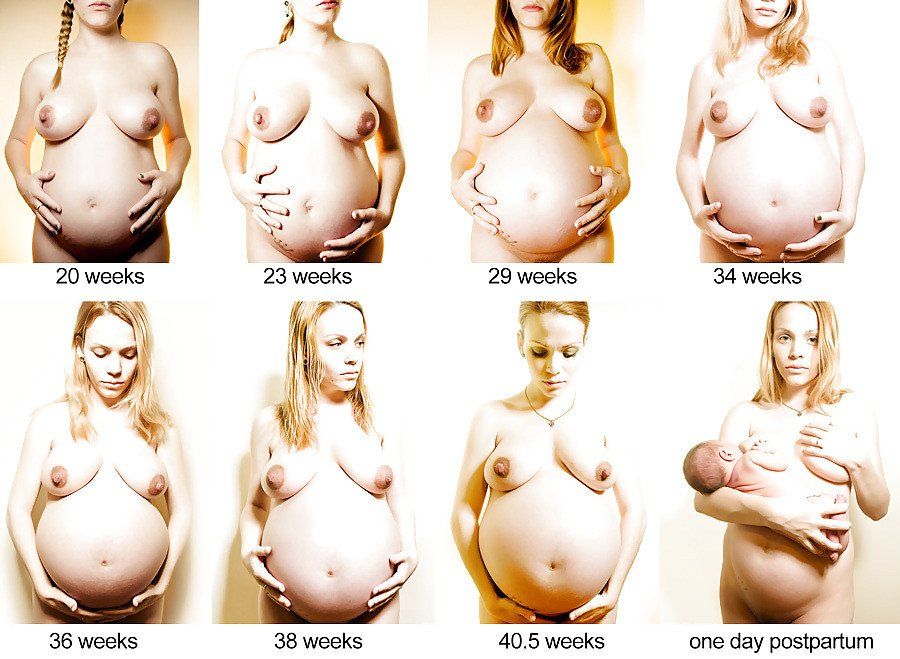best of Pregnant 20 weeks
