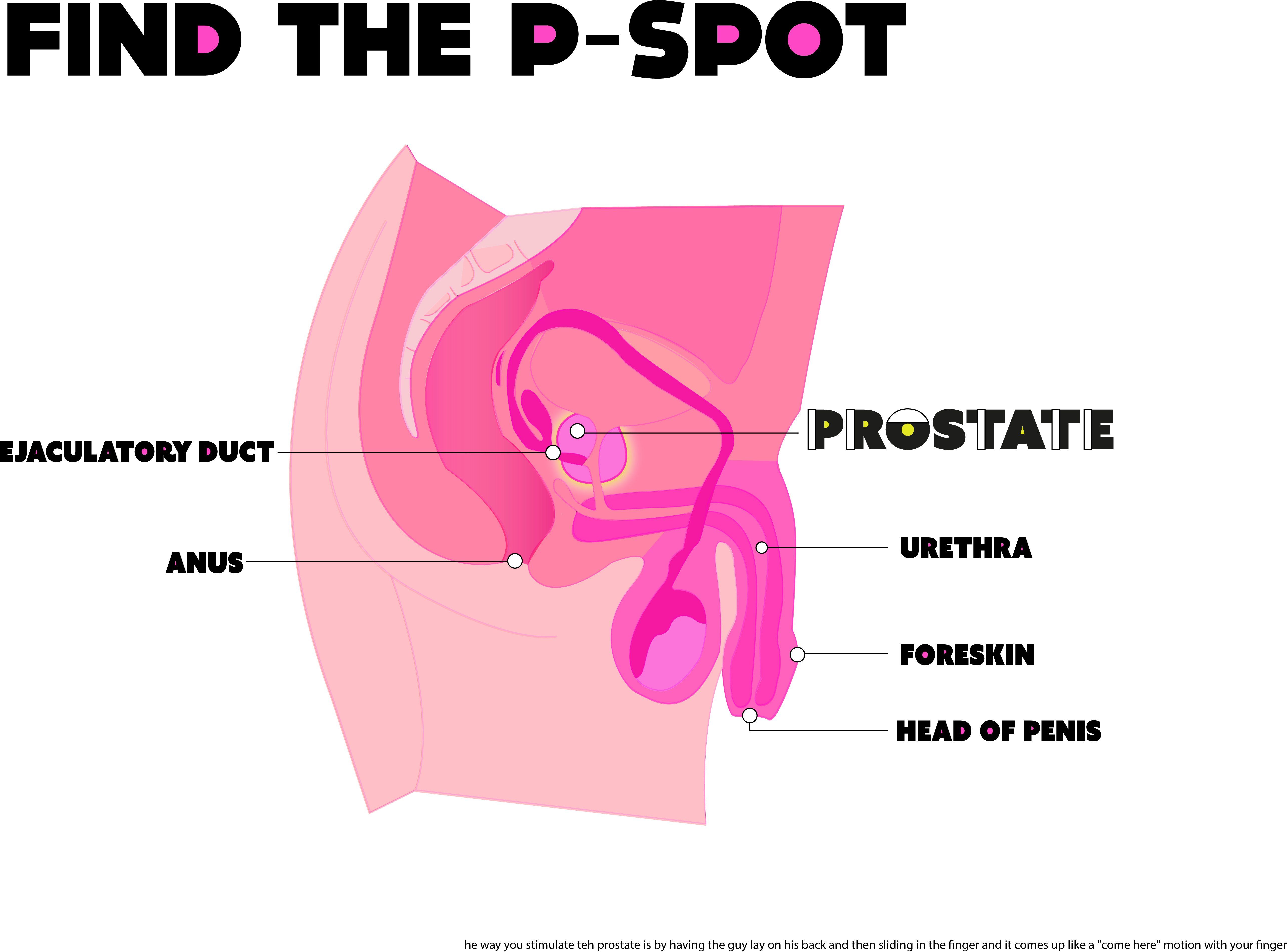 best of Guide prostate