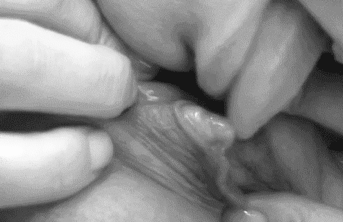 Lick And Suck My Clit