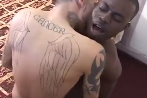 best of Dick and tattooed crempie lick white