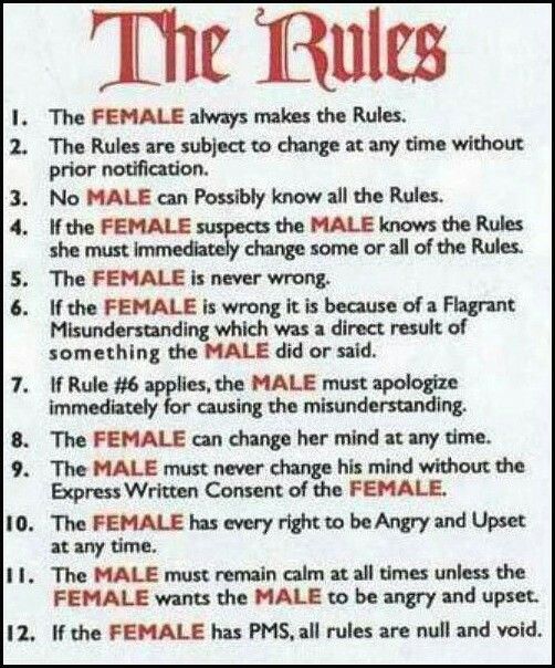 best of Femdom subs Rules for