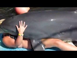 Hammer reccomend Sexy girls getting fucked by dolphins