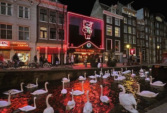 best of Hotel amsterdam