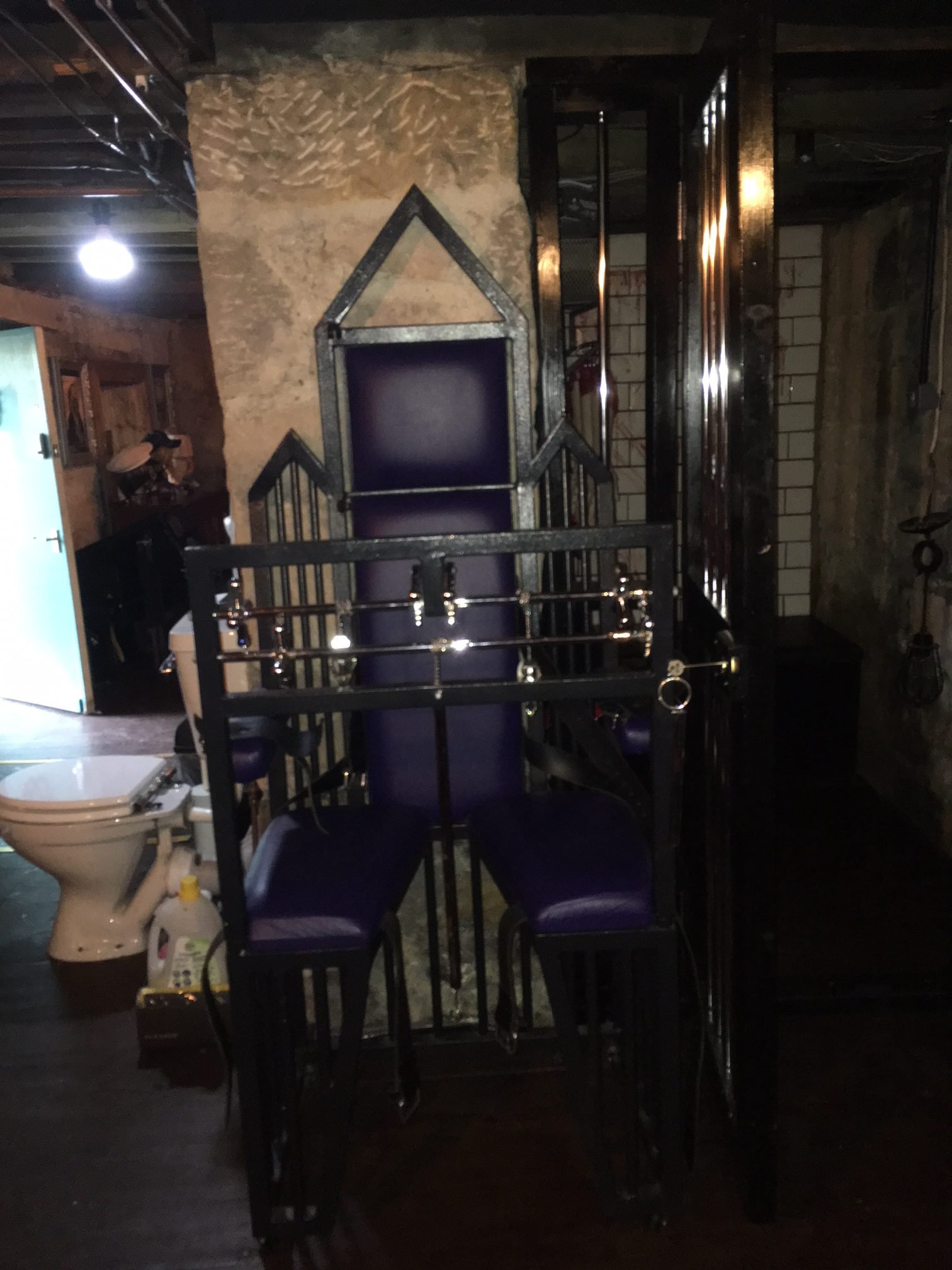 Bdsm toilet throne