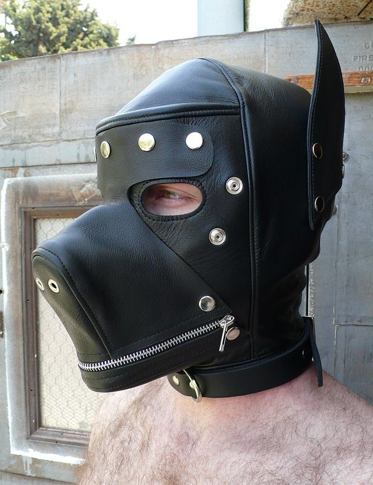Valentine reccomend Puppy bondage mask