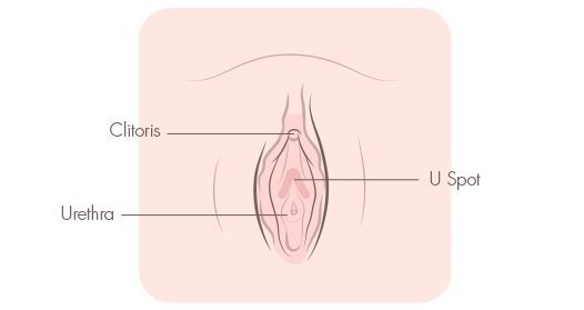 Sabertooth recommendet masturbation home at Female dildos tips
