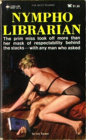Erotic novel