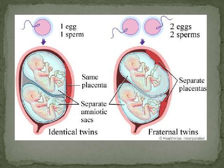 ATV reccomend called Mature sperm or ovum is