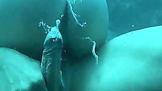 Girl Masturbating While Being Held Underwater.